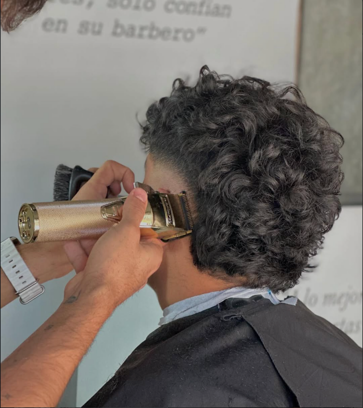 CERVUS BARBERÍA
